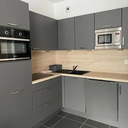 à Gourette Avec Piscine Et Animaux Admis, Pour 6 Personnes - Fr-1-860-26 Appartement